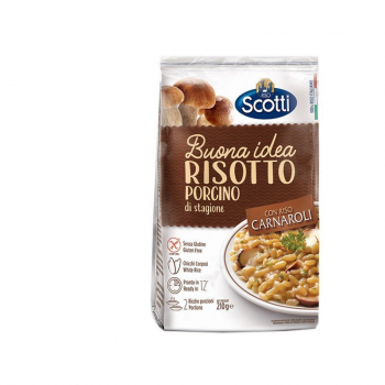 Risotto with Boletus